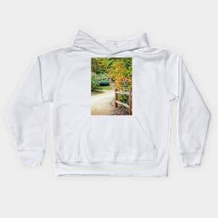 autumn leaves along a pathway Kids Hoodie